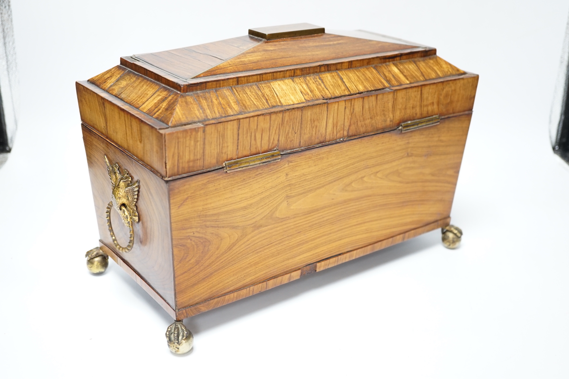 A Regency kingwood and brass strung sarcophagus tea caddy, manufacturers label for Staudenmeyer, 30 Cockspur Street, Charing Cross, London, double headed eagle handles, 21.5cm high, 30.5cm wide, 15cm deep